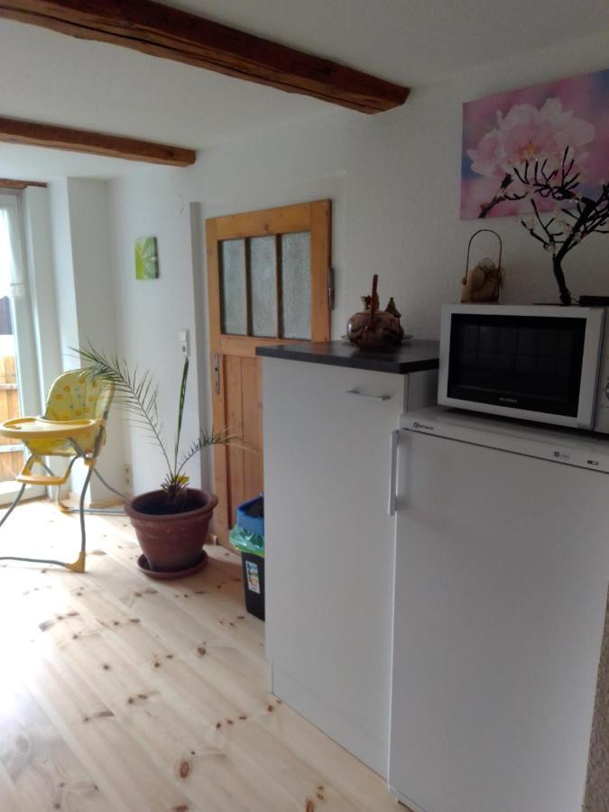 Ferienhaus Schock Thale Luaran gambar